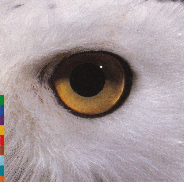 cd  